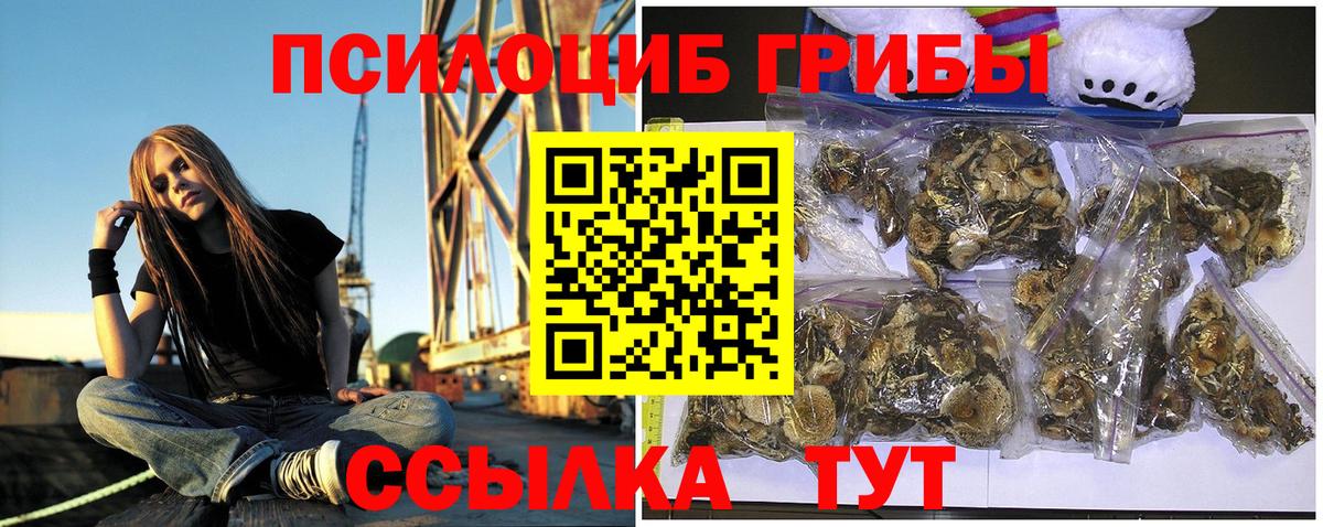 Псилоцибиновые грибы мухоморы Кулебаки